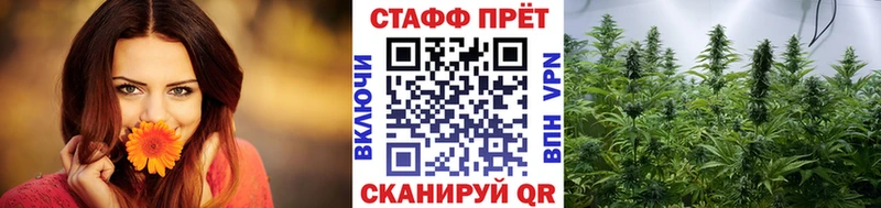 Как найти наркотики Далматово A-PVP  Лсд 25  Бутират  Мефедрон  ГАШИШ  АМФЕТАМИН 