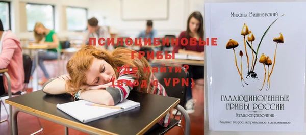 гидра Мегион