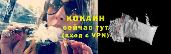 гидра Мегион