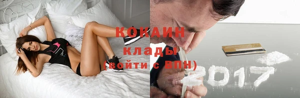 гидра Мегион