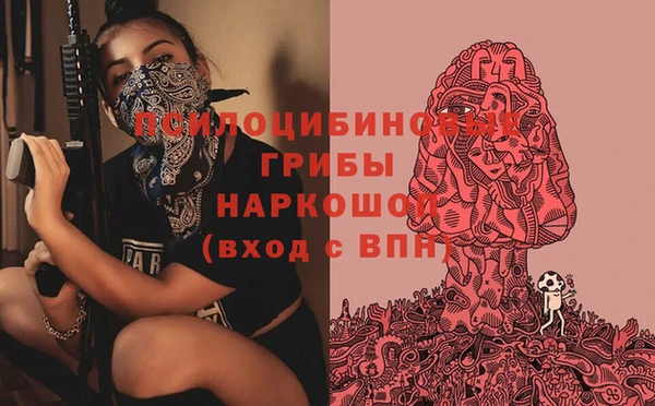 гидра Мегион
