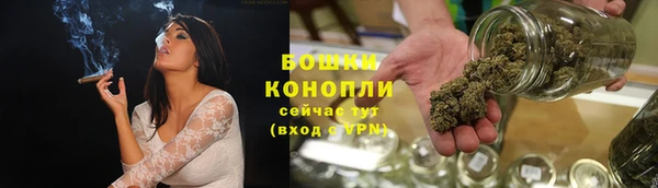 гидра Мегион