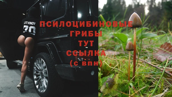 мефедрон Медногорск