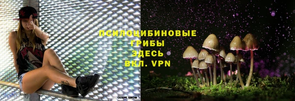 мдма Медвежьегорск