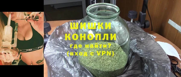 гидра Мегион