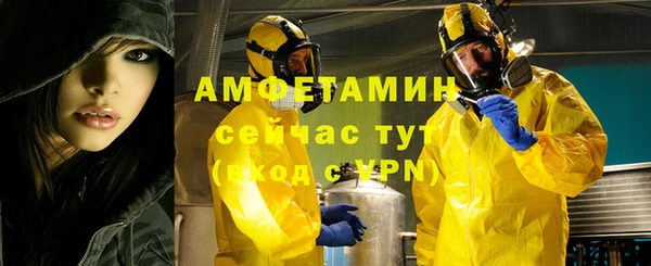 гидра Мегион